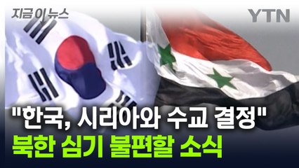 "외교 역사에 한 획"...한국, 시리아와 수교 잠정 합의 [지금이뉴스] / YTN