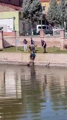 Eskişehir Porsuk Çayı'nda dehşet dolu dakikalar