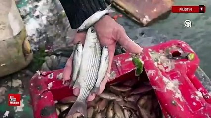 Gazze'deki balıkçılar, yaşam mücadelesi için geleneksel yöntemlerle balık avlanıyor