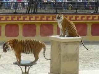 Gladiateurs (Puy du Fou)