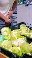 cucumber prank 😂😂😂 _ go pranks! #shorts #prank #funny #viral #trending #152