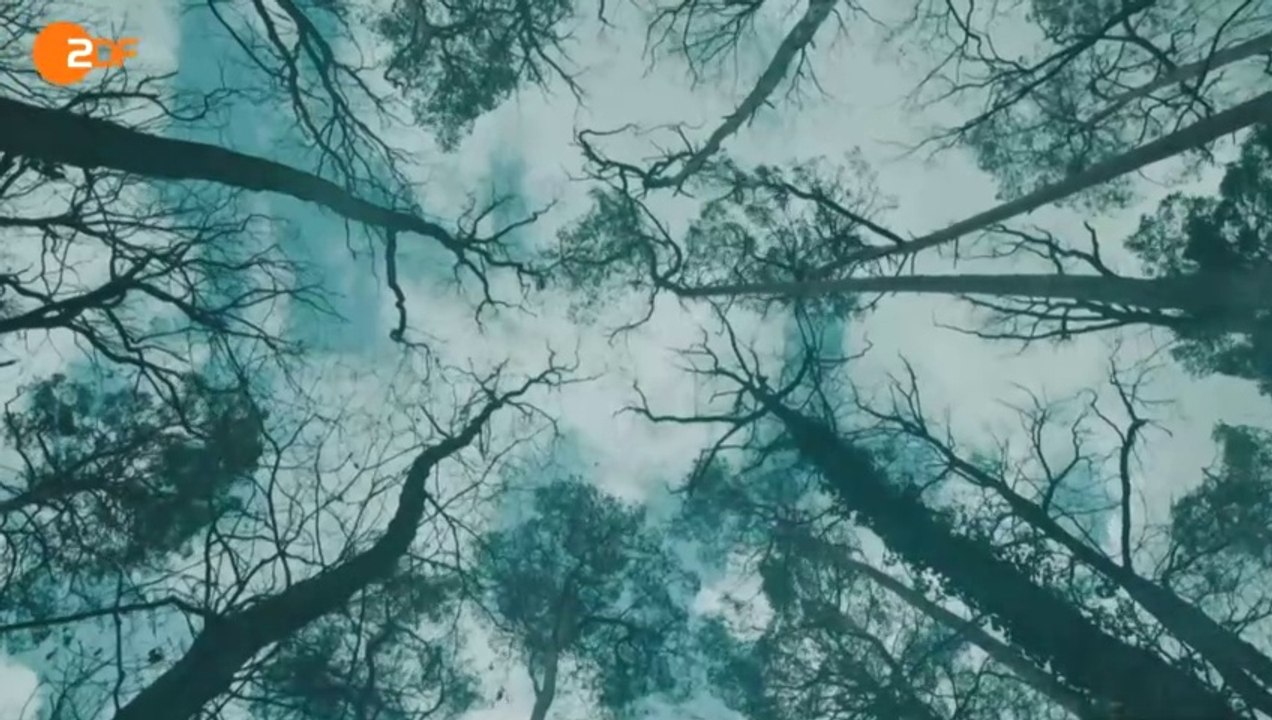 Die Affäre Cum-Ex Trailer DF