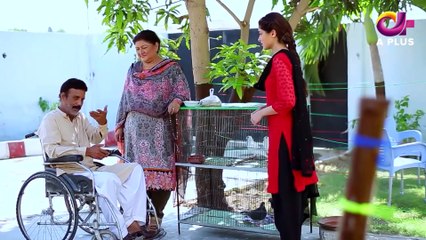 Rishtay Kachay Dhagoon Se - Episode 6 A Plus Entertainment