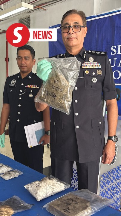 Cops smash drug syndicate operating out of grocery shop in Johor