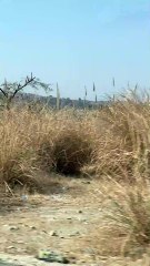 Driving in a Desert – A Thrilling Yet Challenging Experience