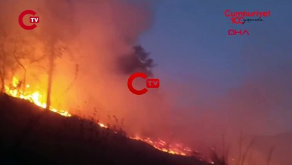 Hatay'da çıkan orman yangını kontrol altına alındı