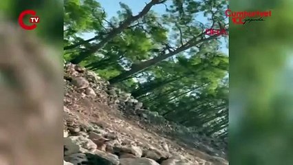 Kalker ocağı hakkında kaçak ağaç kesimi şikayeti