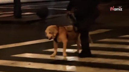 4 miliony osób płaczą po tym nagraniu: gest starsuszka poruszy każdego