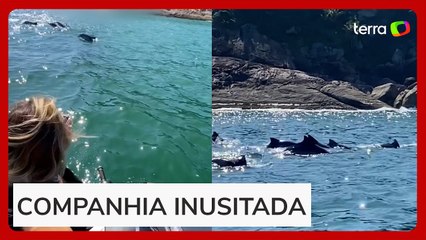 Fotógrafa captura show de golfinhos e arraias no dia do aniversário