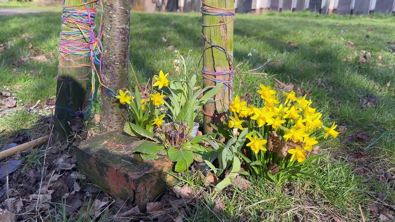 Inside St Mary’s Rest Garden