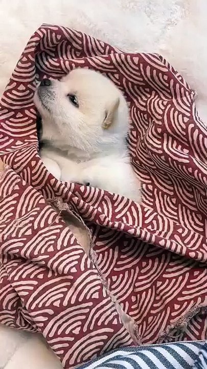 Damn cute😀