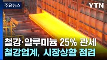 철강·알루미늄 25% 관세 D-1...'시험대' 오른 K-철강 / YTN