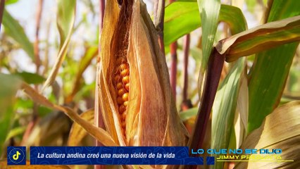 LO QUE NO SE DIJO-Conociendo  la cultura andina con ESTHER BALBOA