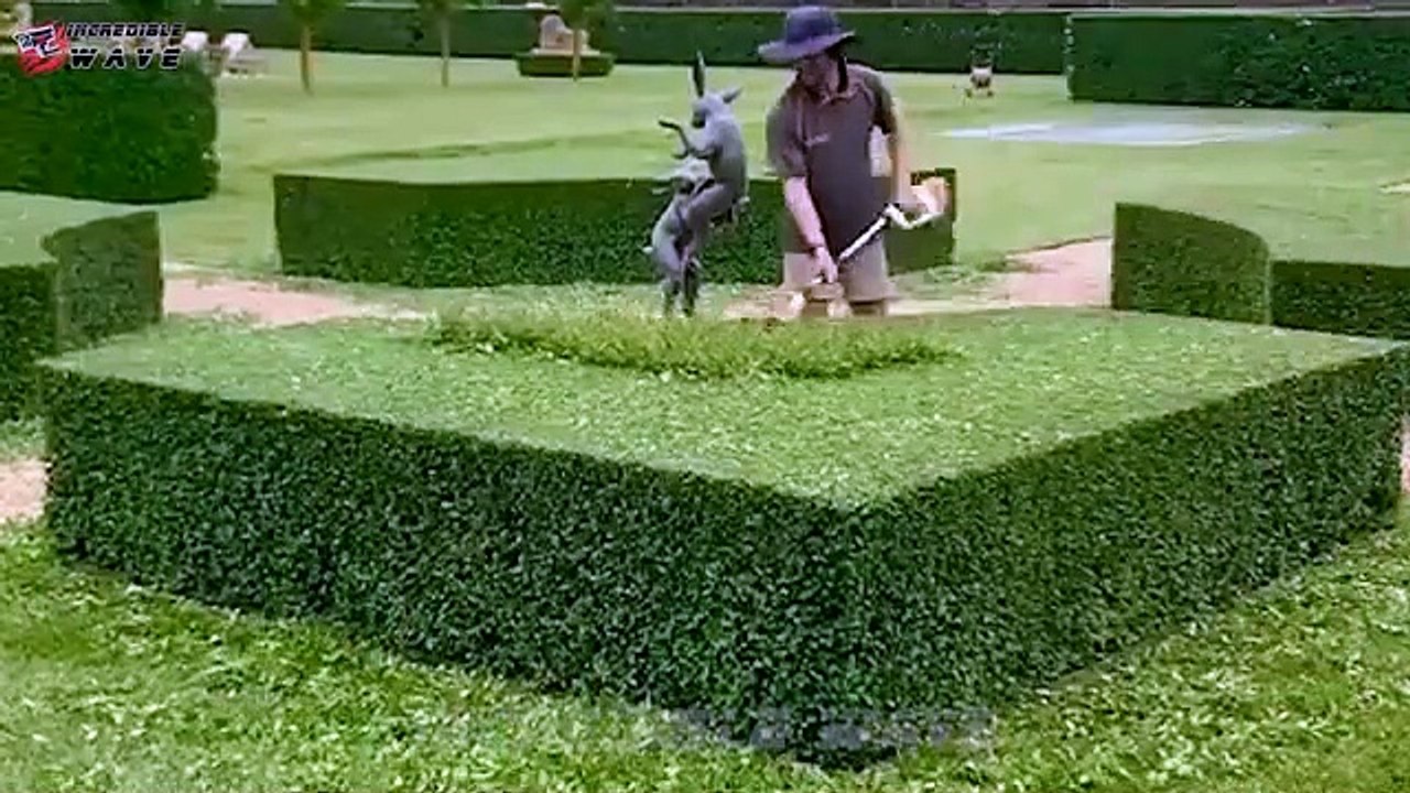 Incredible Moments Caught on Camera - Best Of Month