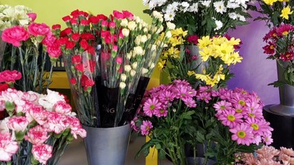 Zodiac Florists in Gosport gets ready to celebrate 50th anniversary