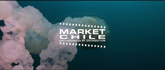 Isla negra Bande-annonce VO