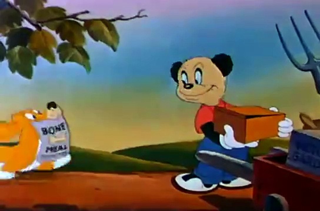 Andy Panda - A Horta do Andy (1942)