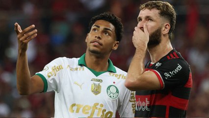 Luighi Palmeiras: Key Player Overview