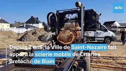 Une seconde vie pour les arbres de Saint-Nazaire