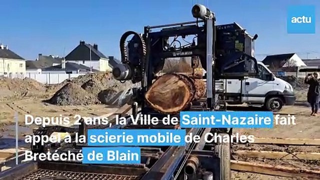 Une seconde vie pour les arbres de Saint-Nazaire