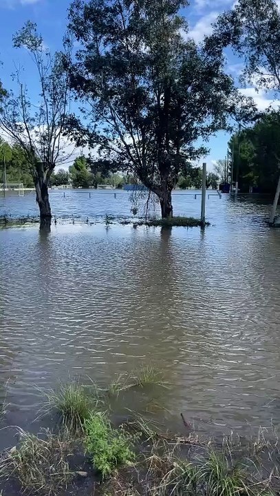 Inundación en Bahía Blanca: cancha Argentino hockey