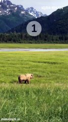 The 5 Most Fearless Hunters in the Animal Kingdom