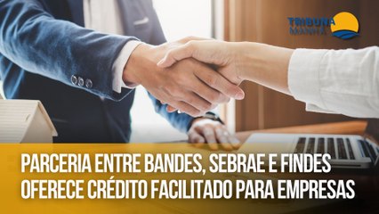 Parceria entre Bandes, Sebrae e Findes oferece crédito facilitado para empresas no ES
