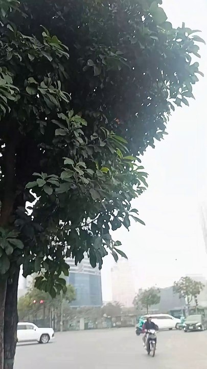 1000002253