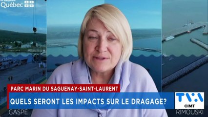 TVA Nouvelles CIMT 12h 11 mars 2025