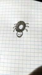 Ragno disegno  modello 7