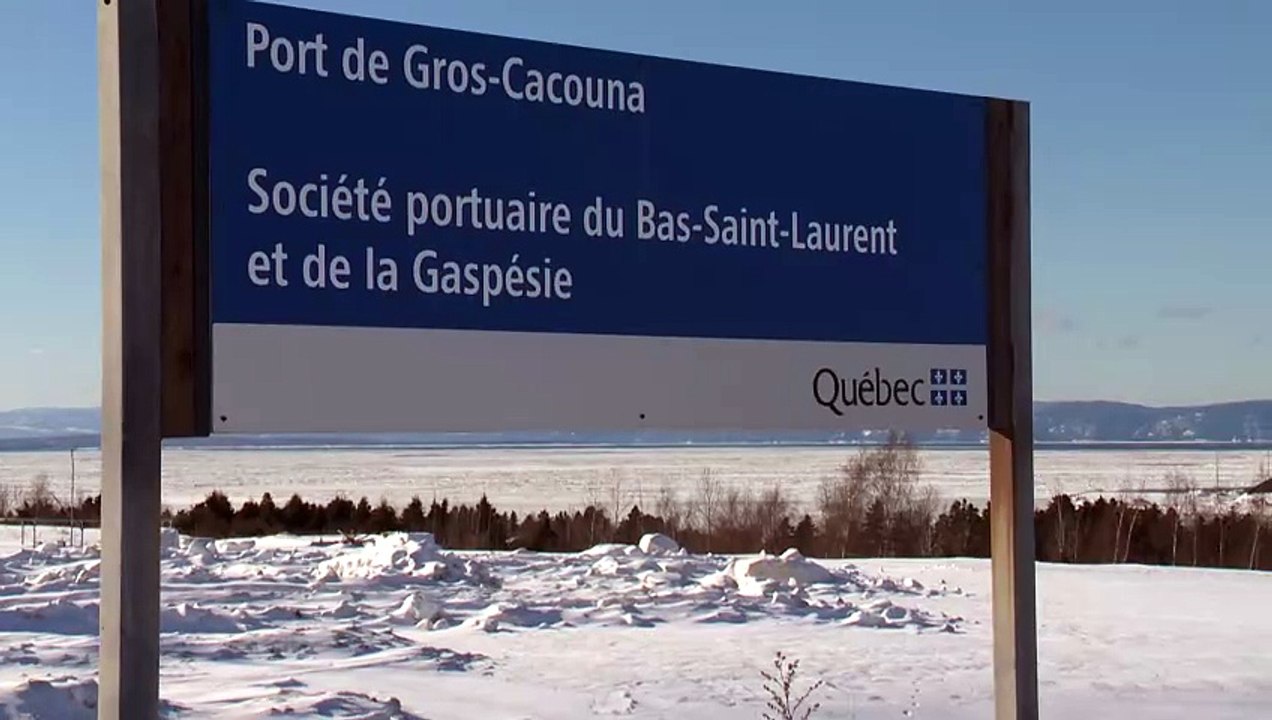 Agrandissement du parc marin du Saguenay–Saint-Laurent : quels impacts sur les activités portuaires ?