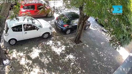 Motochorros al acecho en La Plata