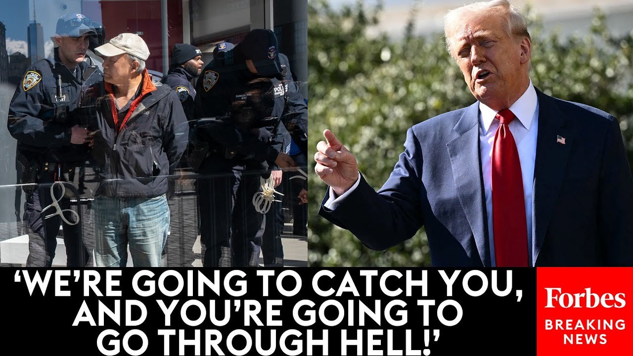 Trump Says Those Committing Violence At Tesla Dealerships Are Domestic Terrorists