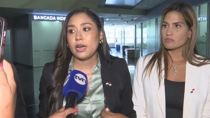 Reformas a la CSS genera fuertes tensiones en la bancada Vamos