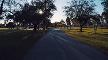Joyful Environment