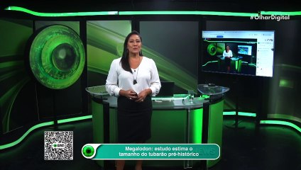 Megalodon: estudo estima o tamanho do tubarão pré-histórico