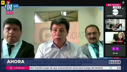 Pedro Castillo: Peruvian Politician