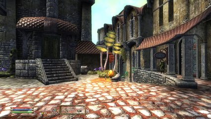 The Elder Scrolls IV: Oblivion - Part 139