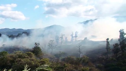 tn7-tres-incendios-forestales-de-grandes-proporciones-se-registran-en-Guanacaste-110325