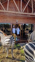 Amazing African wildlife #animallife #travel