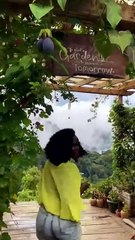 Amazing African wildlife #animallife #travel