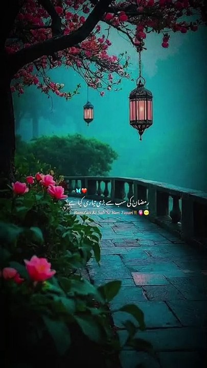 Islamic zone