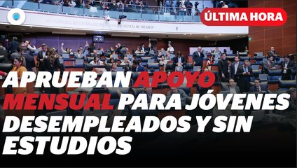 Senado aprueba apoyo económico para jóvenes desempleados I Reporte Indigo