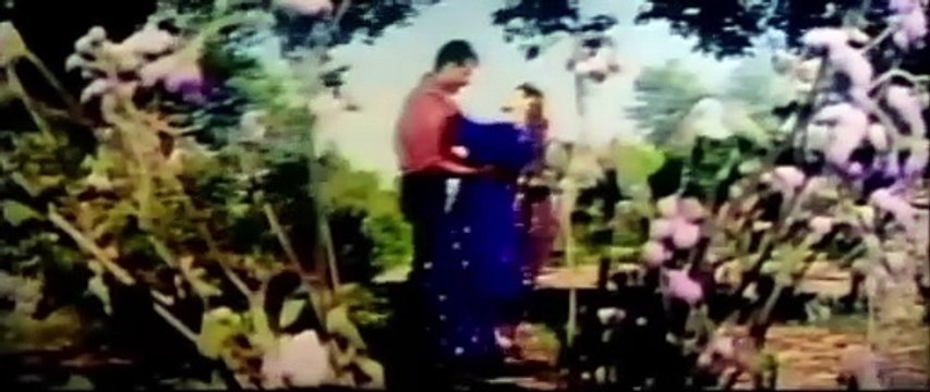 Gore Rang Te - Saima & Moammar Rana - Pakistani Film Nikki Jayi Haan (1999) Azra Jehan