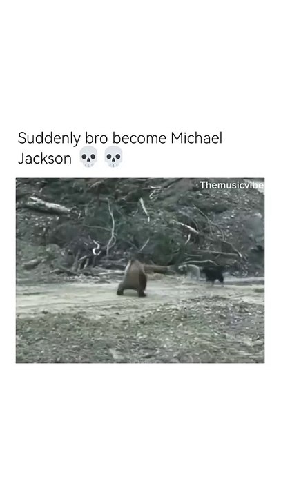 Grizzly MJ bear shot