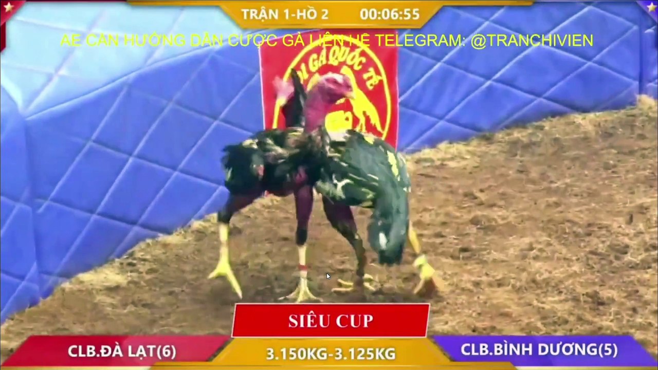 Siêu cúp 2 tỷ A Hiếu Đà Lạt - A Thỏ  Bình Dương (Hồ 2)
