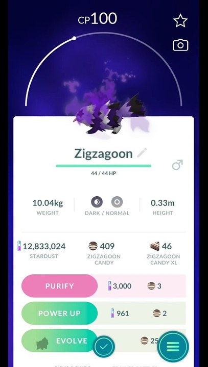 Pokémon GO-Purifying Shadow Galarian Zigzagoon