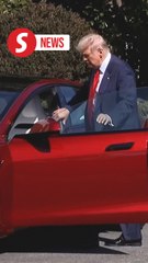 Trump weighs labeling Tesla Takedown as domestic terrorism