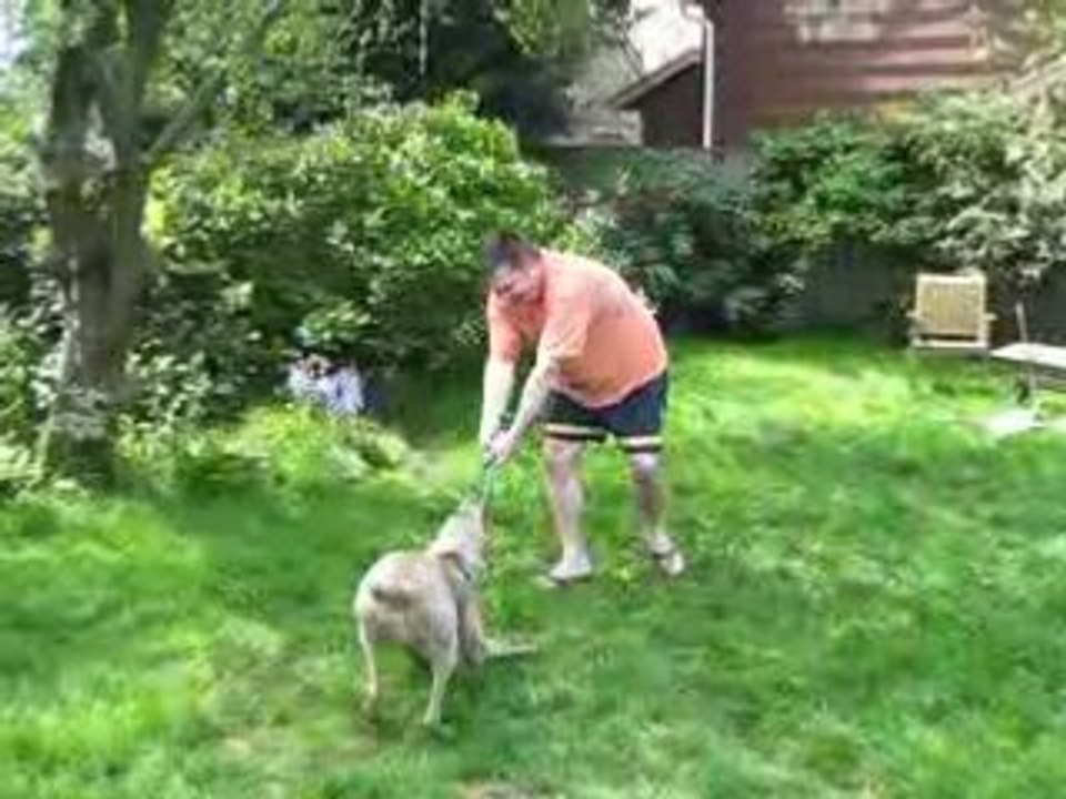 Kali Flying