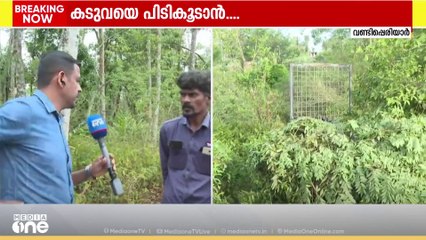 ഇടുക്കി ജനവാസ മേഖലയിൽ ഇറങ്ങിയ കടുവയെ പിടികൂടാൻ കൂട് സ്ഥാപിച്ച് വനം വകുപ്പ്